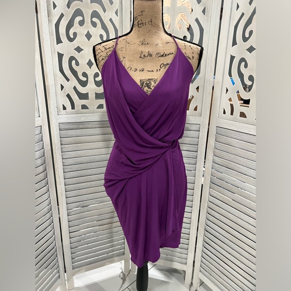 Haute Hippie Purple Kaitlin Silhouette Wrap Front Dress - Picture 3 of 13